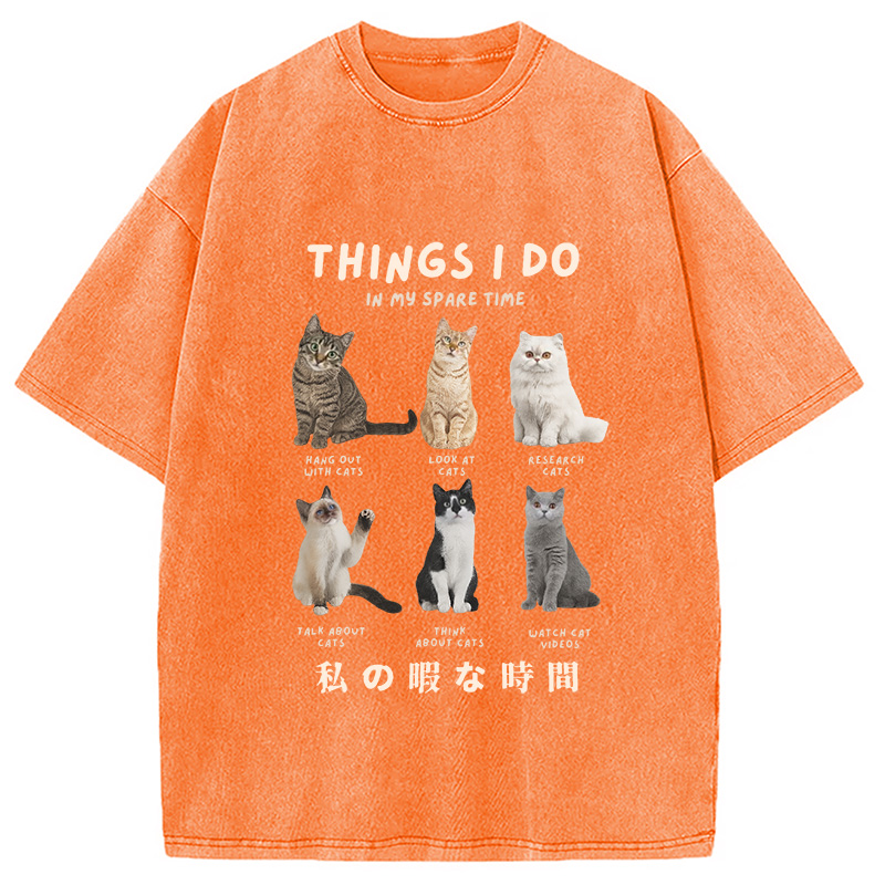 Modecanvas Things I Do In My Spare Time Funny Cat Washed T-Shirt