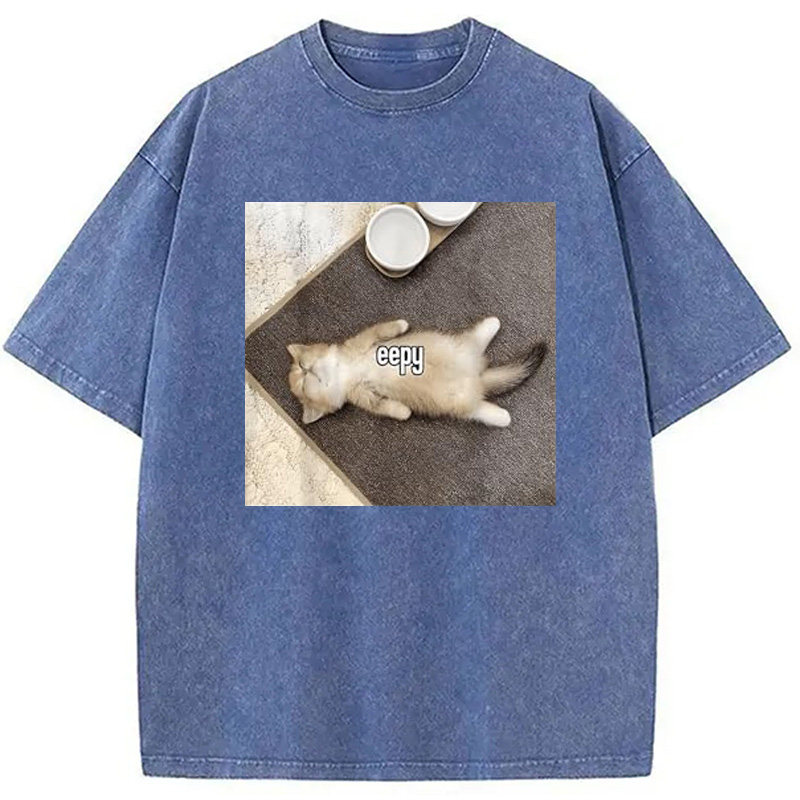 Modecanvas Eepy Funny Cat Meme Washed T-Shirt