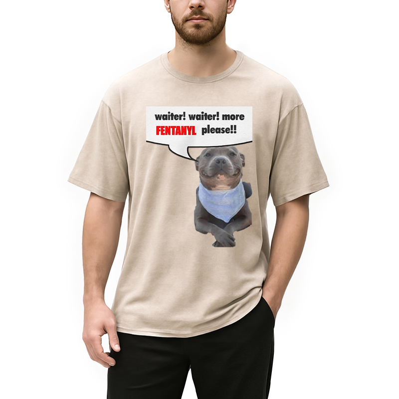 Modecanvas Waiter Waiter More Fentanyl Meme Washed T-Shirt