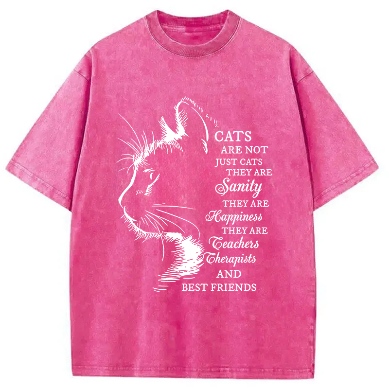 Modecanvas Cat Best Friend DTG Printing Washed T-Shirt