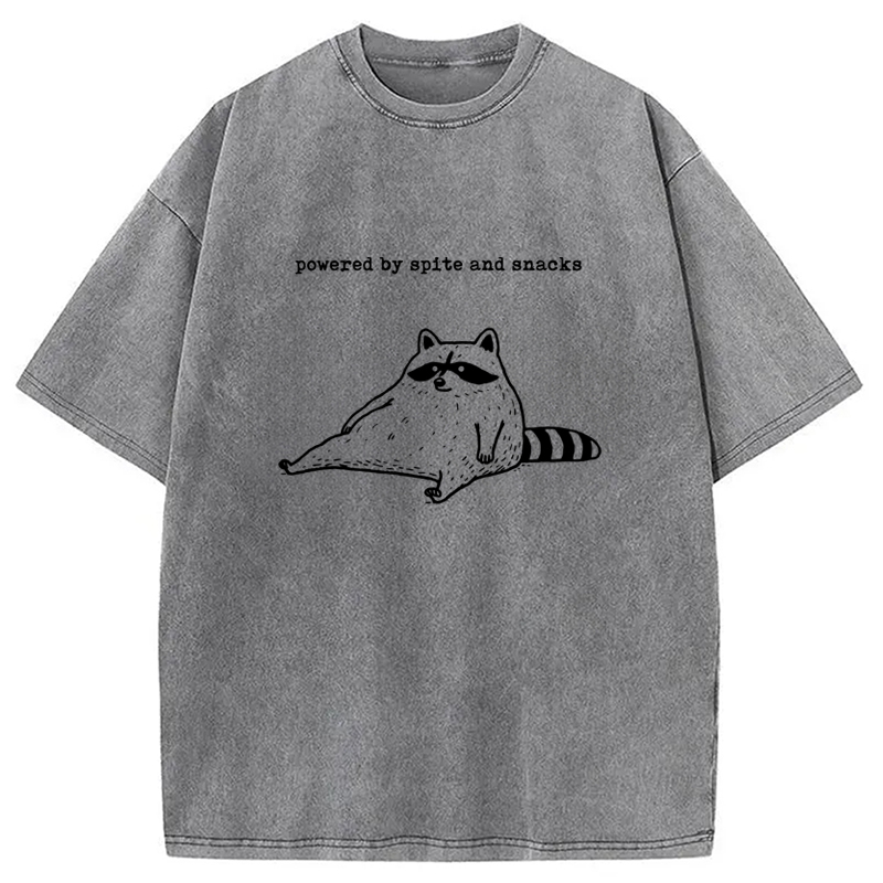 Modecanvas Powered by Spite and Snacks Funny Washed T-Shirt