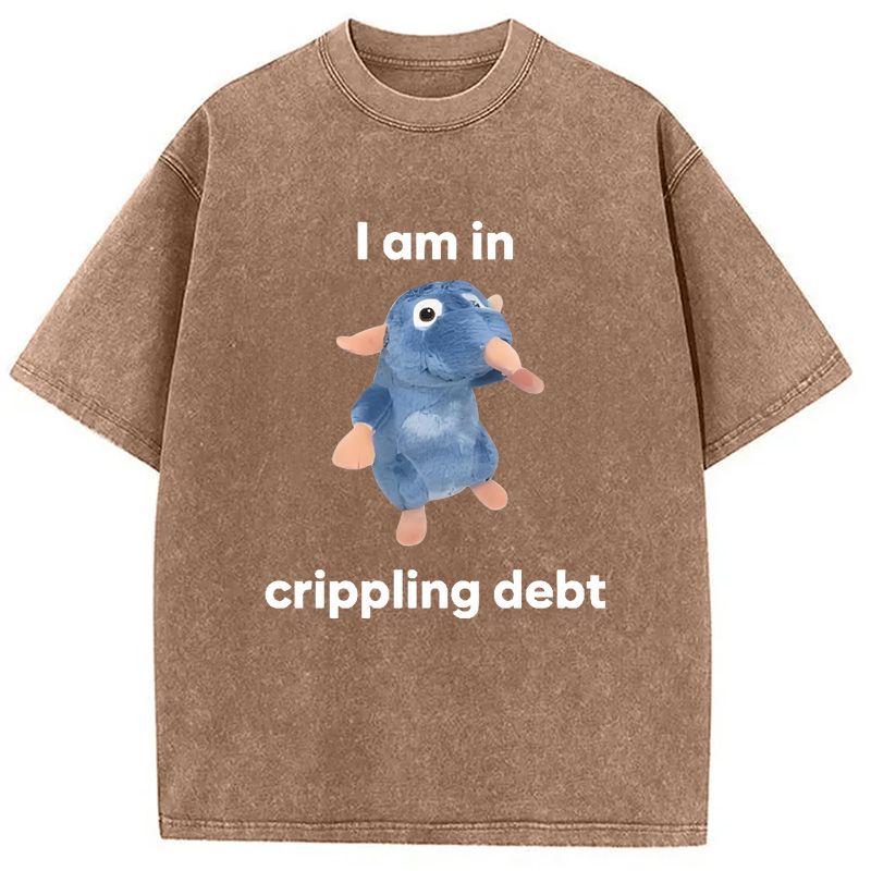 Modecanvas I Am in Crippling Debt Washed T-Shirt