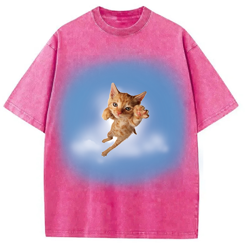 Modecanvas Pounce? More Like flounce DTG Printing Washed T-Shirt