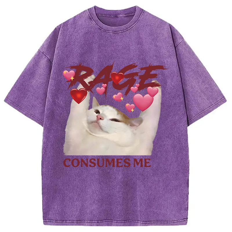 Modecanvas Rage Consumes Me Funny Cat Meme DTG Printing Washed T-Shirt