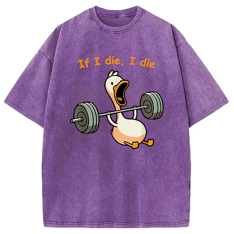 Modecanvas I Die Funny Meme Washed T-Shirt