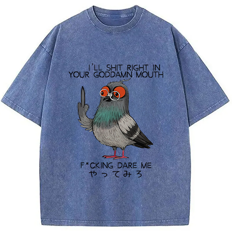 Modecanvas Angry Pigeon Washed T-Shirt