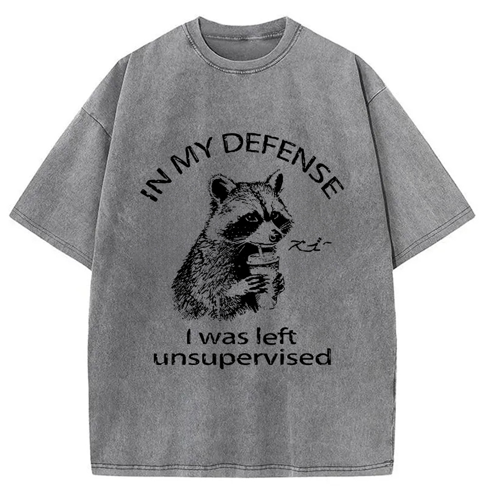 Modecanvas Left Unsupervised Raccoon Washed T-Shirt