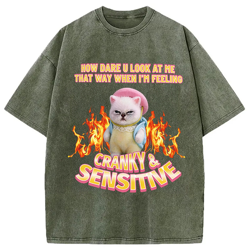 Modecanvas Cranky Kitty DTG Printing Washed T-Shirt