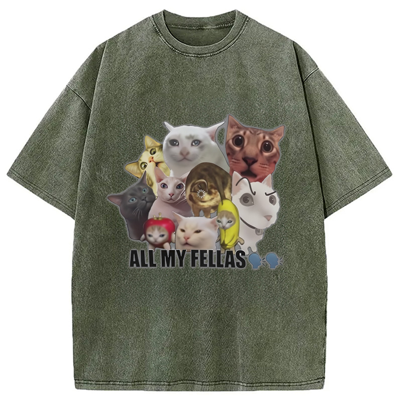 Modecanvas All My Fellas Internet Cats Meme Washed T-Shirt