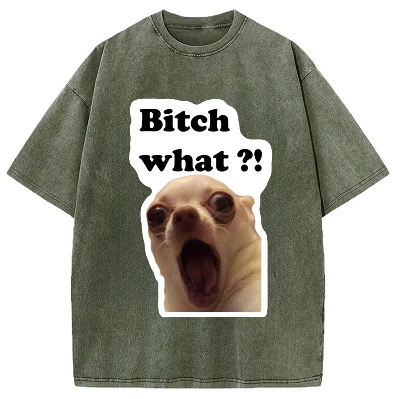 Modecanvas Funny Dog Face Meme Washed T-Shirt