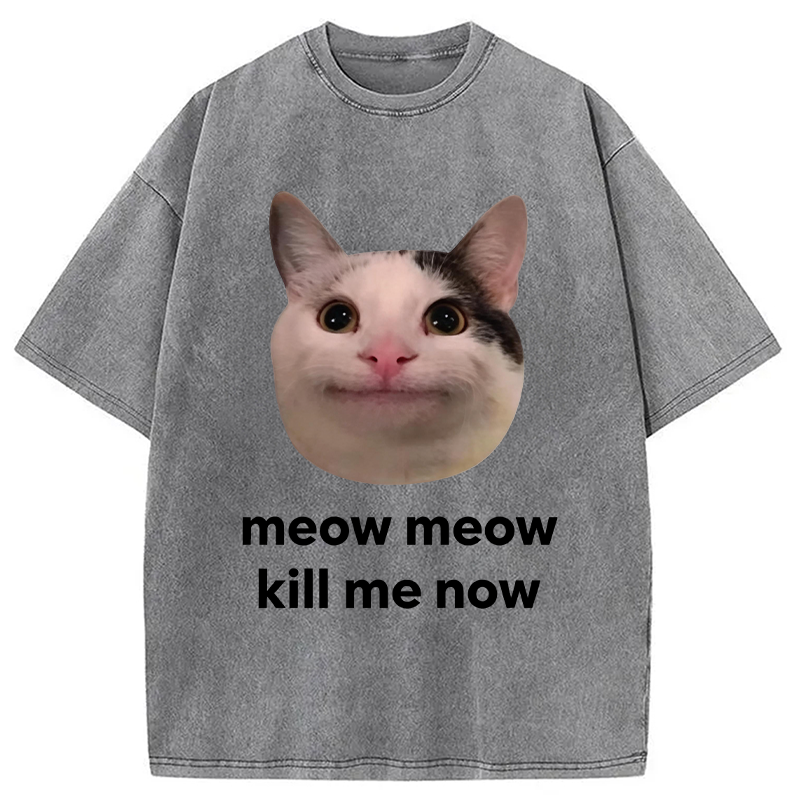Modecanvas Meow Meow Kill Me Now Polite Cat Meme DTG Printing Washed T-Shirt