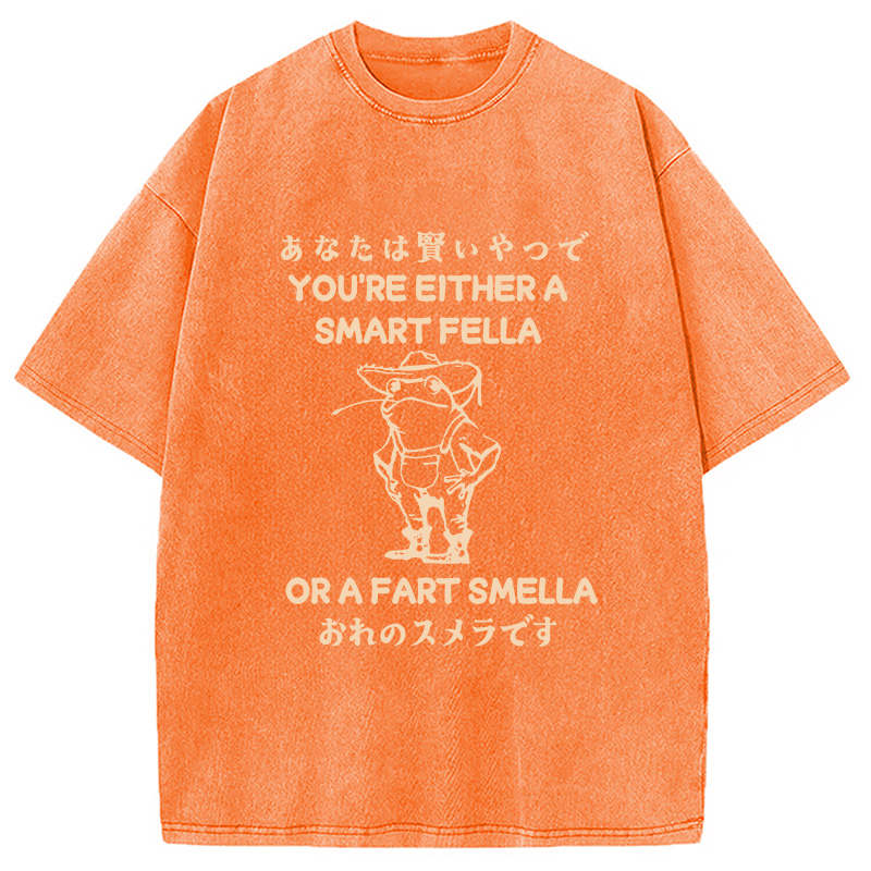 Modecanvas Are You A Smart Fella Or Fart Smella Washed T-Shirt-modecanvas