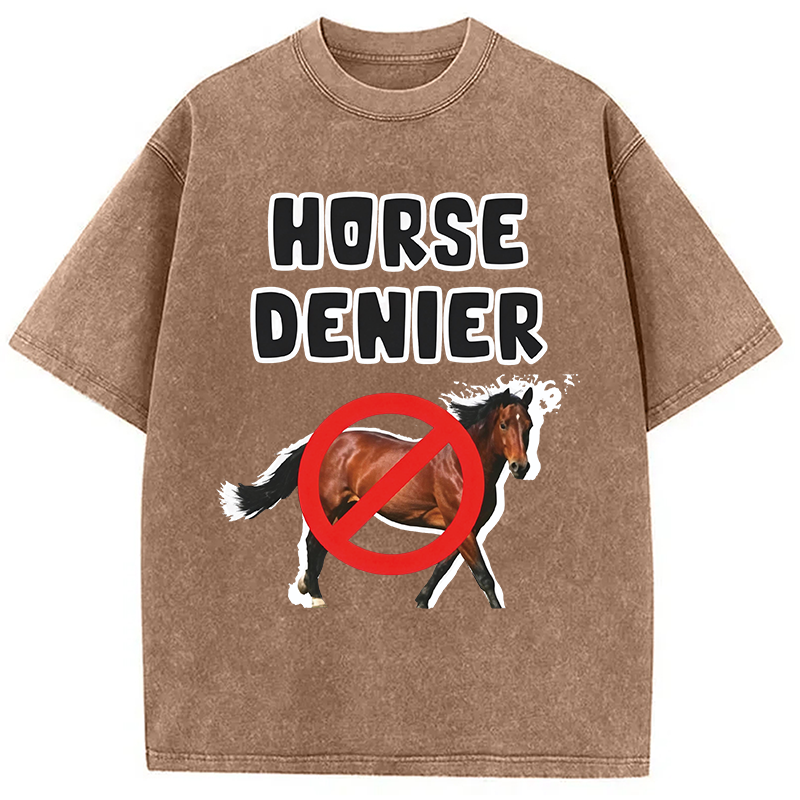 Modecanvas Horse Denier Funny Meme DTG Printing Washed T-Shirt