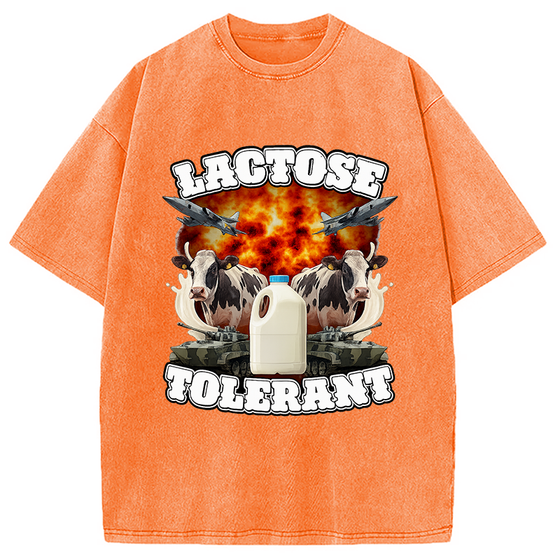 Modecanvas Lactose Tolerant Funny Meme Washed T-Shirt-modecanvas