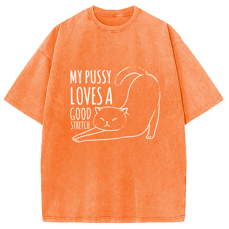 Modecanvas Funny Cat Washed T-Shirt