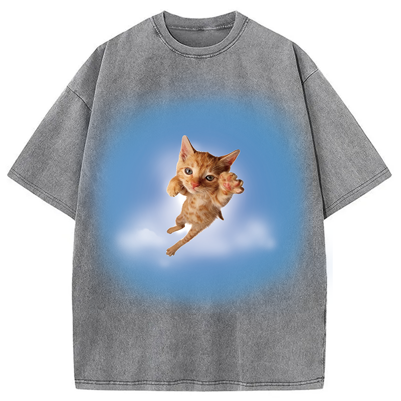 Modecanvas Pounce? More Like flounce DTG Printing Washed T-Shirt