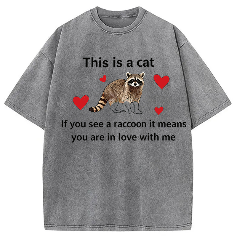 Modecanvas If You See A Raccoon DTG Printing Washed T-Shirt