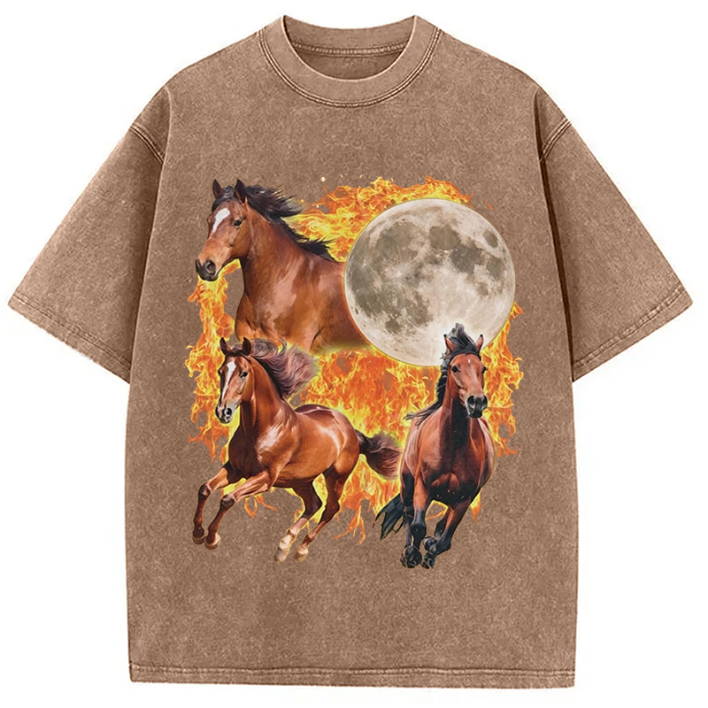 Modecanvas Y2K Fire Horse Year DTG Printing Washed T-Shirt
