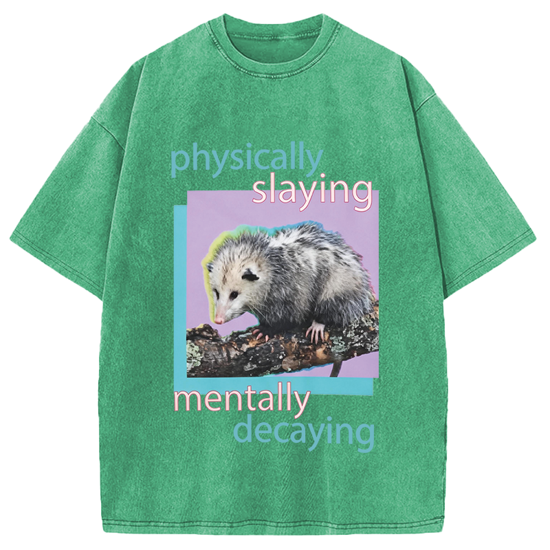 Modecanvas Physically Slaying Mentally Decaying DTG Printing Washed T-Shirt