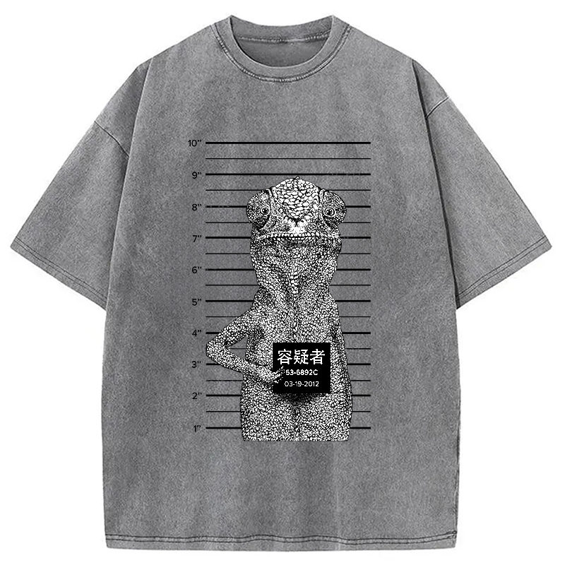 Modecanvas Suspect Lizard Washed T-Shirt