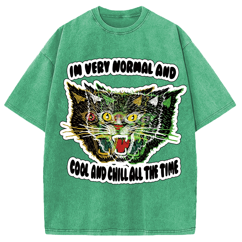 Modecanvas Normal And Chill Cat DTG Printing Washed T-Shirt