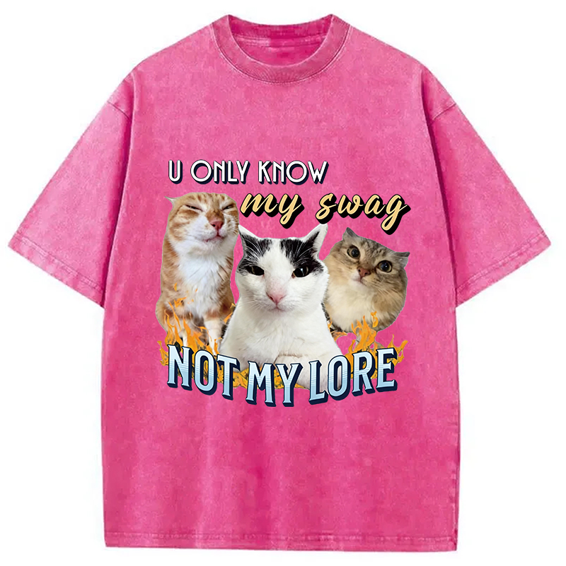 Modecanvas Funny Y2K Cat Meme DTG Printing Washed T-Shirt