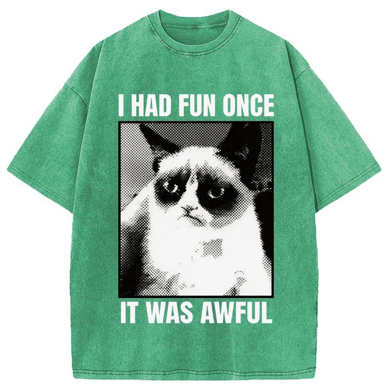 Modecanvas I Had Fun Once It Was Awful Cat Meme DTG Printing Washed T-Shirt