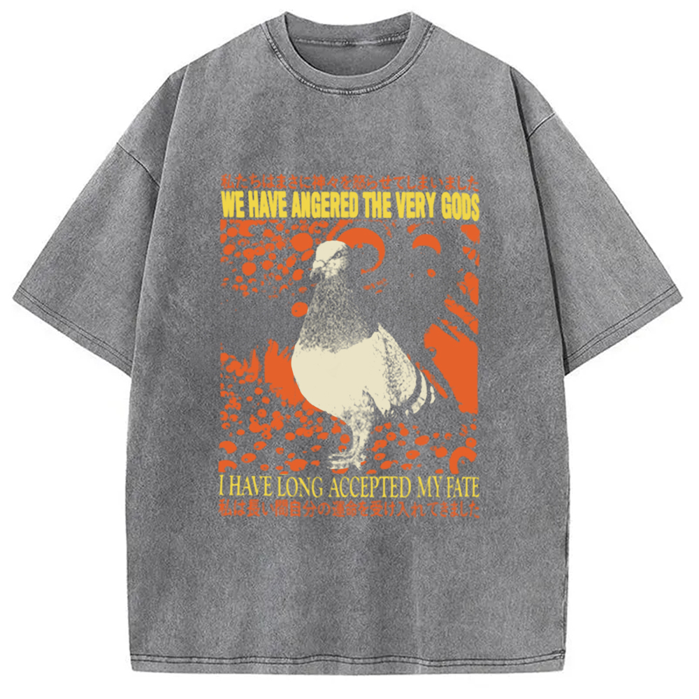 Modecanvas We Have Angered The Very Gods Washed T-Shirt