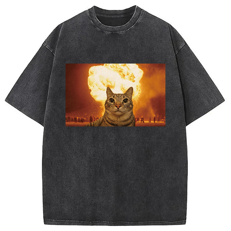 Modecanvas Cat Explosion Brain Rot DTG Printing Washed T-Shirt
