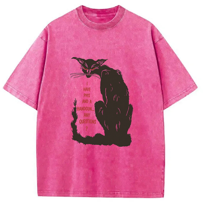 Modecanvas I Have PMS And A Handgun Any Questions? DTG Printing Washed T-Shirt