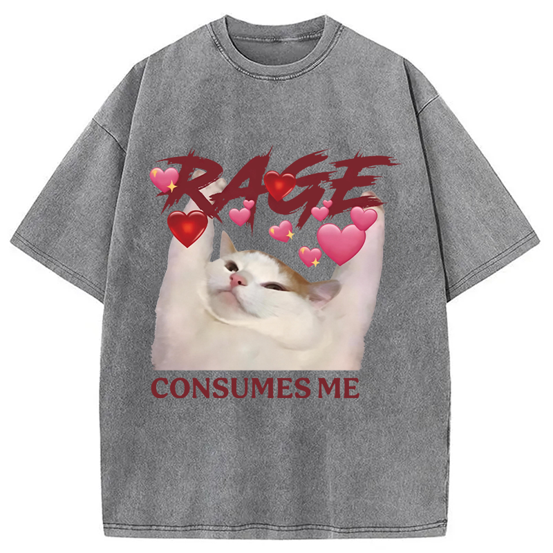 Modecanvas Rage Consumes Me Funny Cat Meme DTG Printing Washed T-Shirt