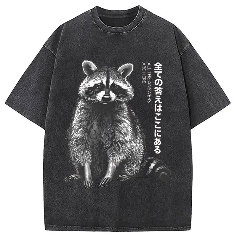Modecanvas Funny Kawaii Raccoon Washed T-Shirt