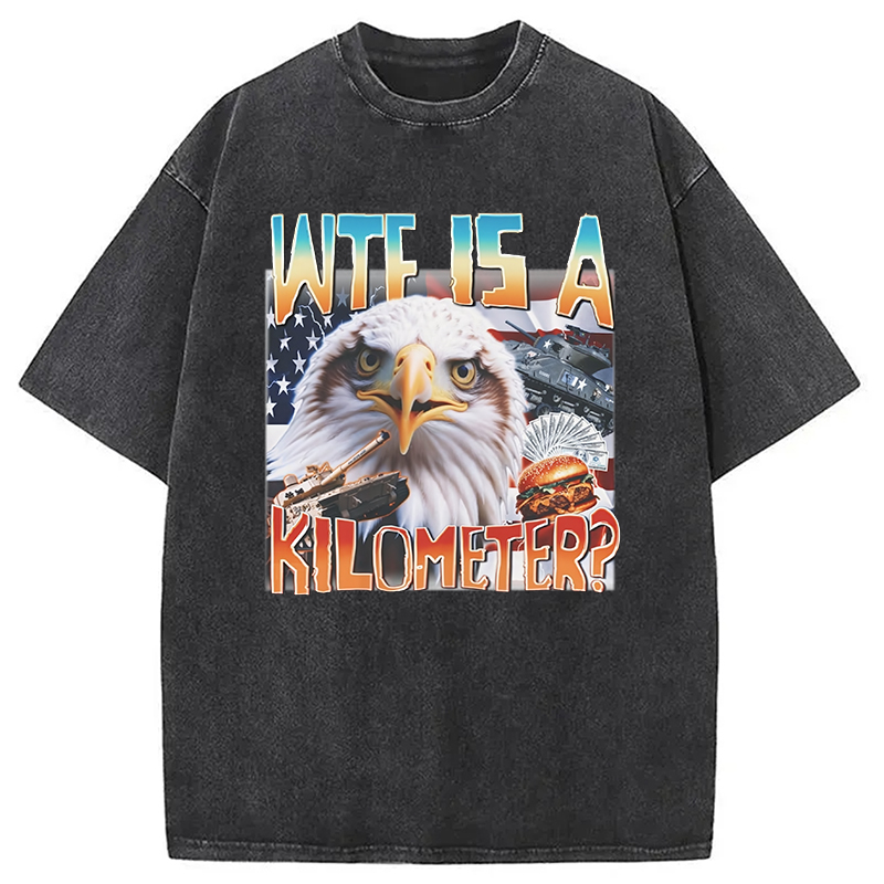 Modecanvas Funny America Freedom Eagle Meme Washed T-Shirt