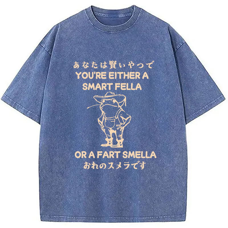 Modecanvas Are You A Smart Fella Or Fart Smella Washed T-Shirt-modecanvas