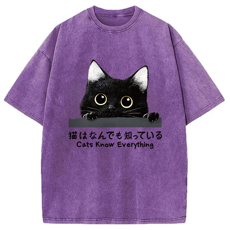 Modecanvas Cats Know Everything DTG Printing Washed T-Shirt-modecanvas
