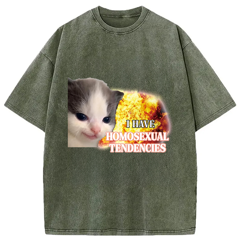 Modecanvas I Have Homosexual Tendencies Evil Kitty Meme DTG Printing Washed T-Shirt