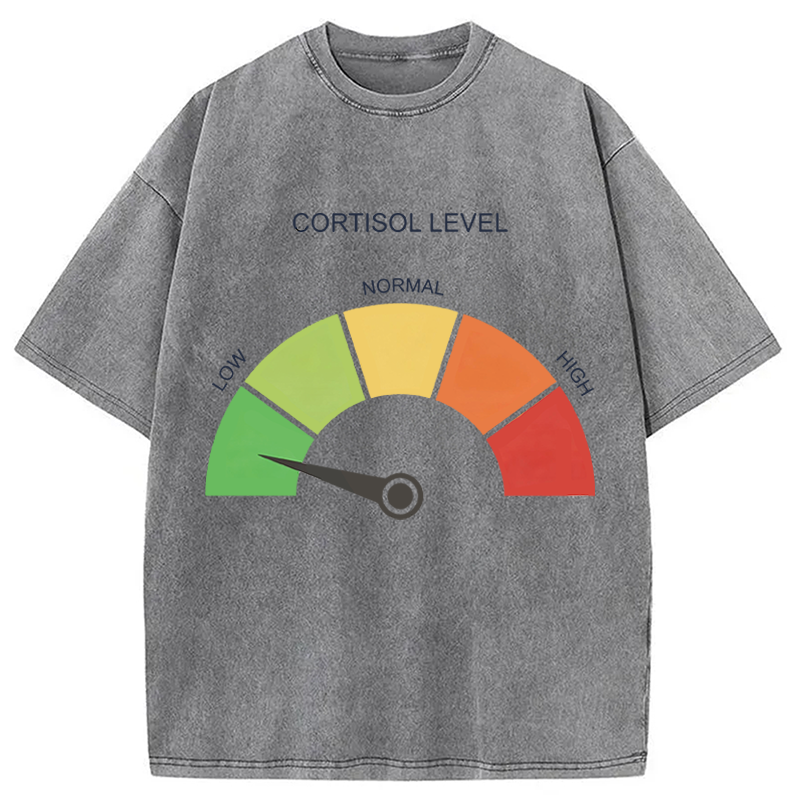 Modecanvas Cortisol Level Meme DTG Printing Washed T-Shirt