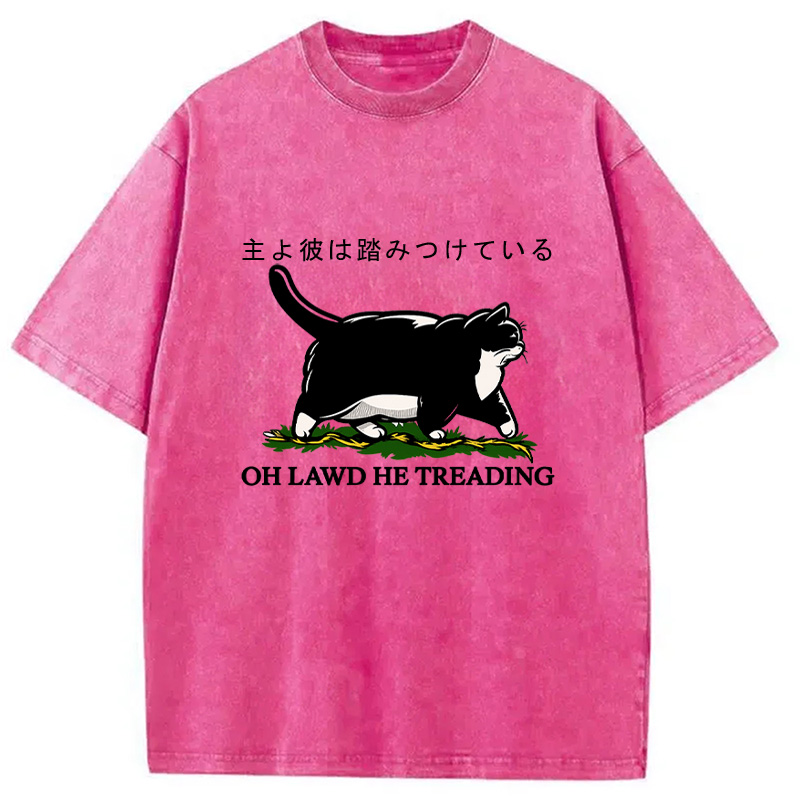 Modecanvas Oh Lawd He Treading Tuxedo Cat Washed T-Shirt