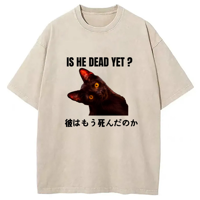 Modecanvas Is He Dead Yet Washed T-Shirt