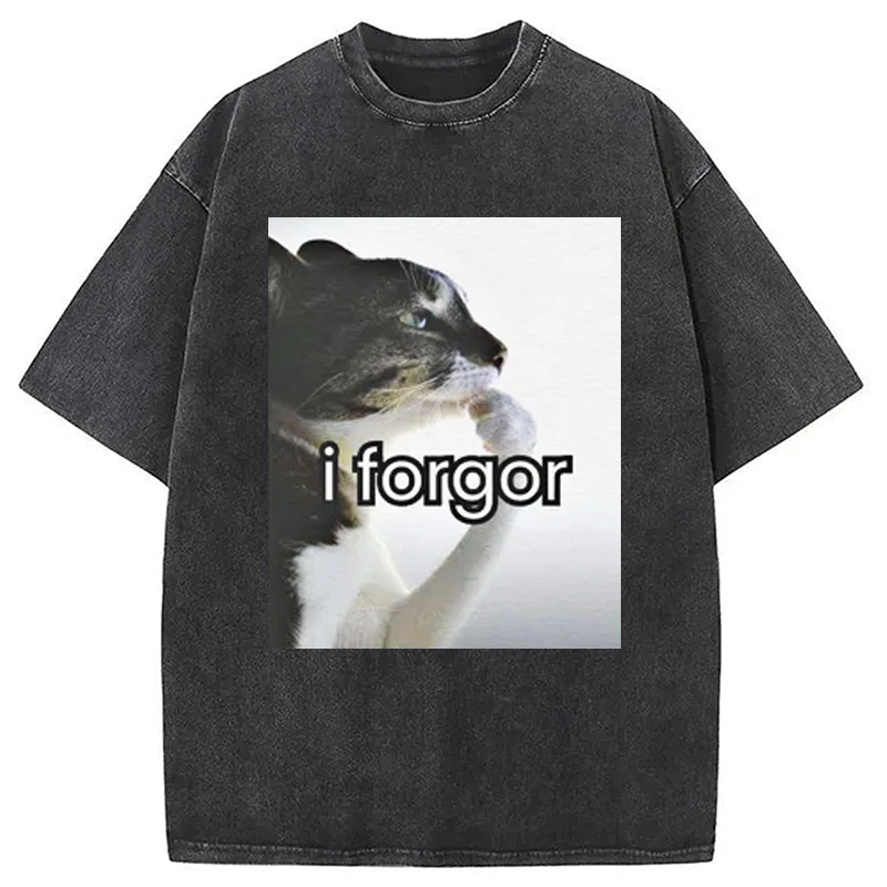 Modecanvas I Forgor Cat Meme Washed T-Shirt