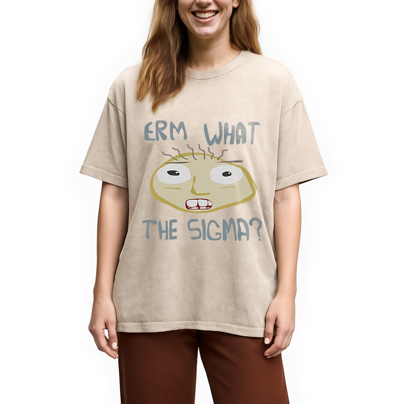 Modecanvas Erm What the Sigma Meme DTG Printing Washed T-Shirt
