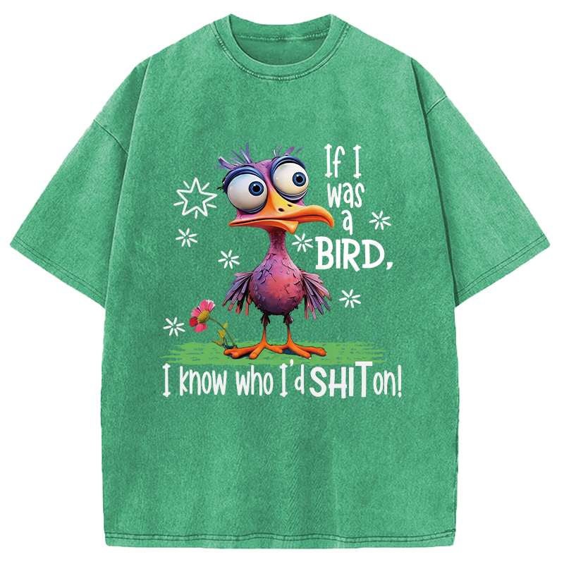 Modecanvas If I Was A Bird DTG Printing Washed T-Shirt