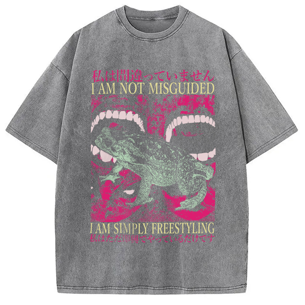 Modecanvas I Am Not Misguided Vintage Japanese Frog  Washed T-Shirt