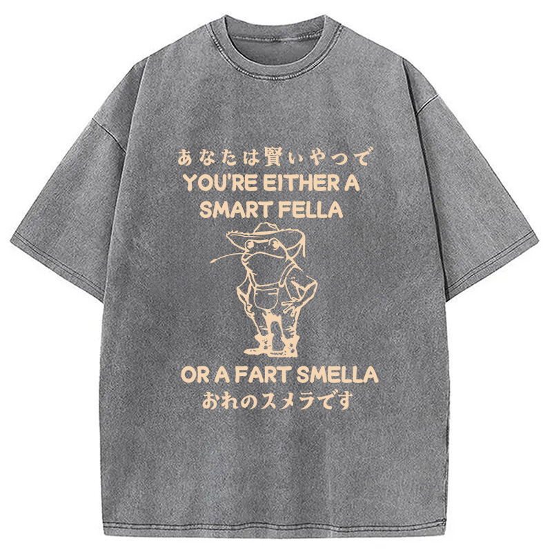 Modecanvas Are You A Smart Fella Or Fart Smella Washed T-Shirt-modecanvas