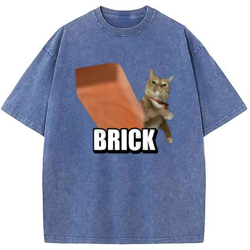 Modecanvas Funny Cat Throwing Brick Washed T-Shirt