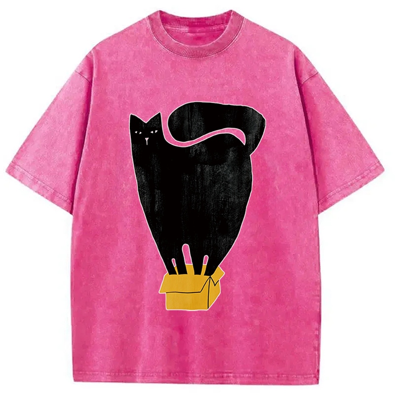 Modecanvas Cat and Box DTG Printing Washed T-Shirt