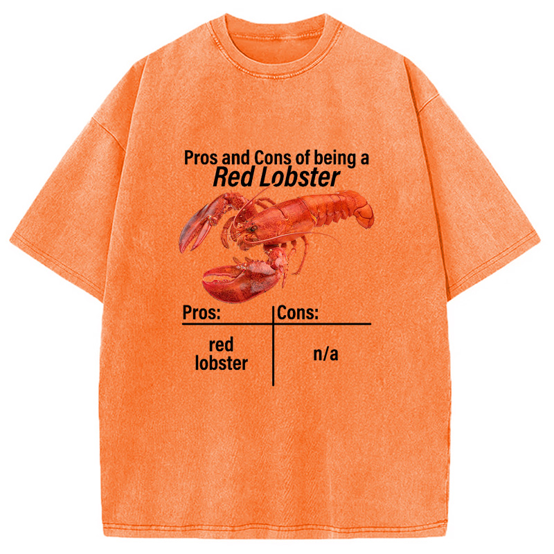 Modecanvas Pros And Cons Washed T-Shirt