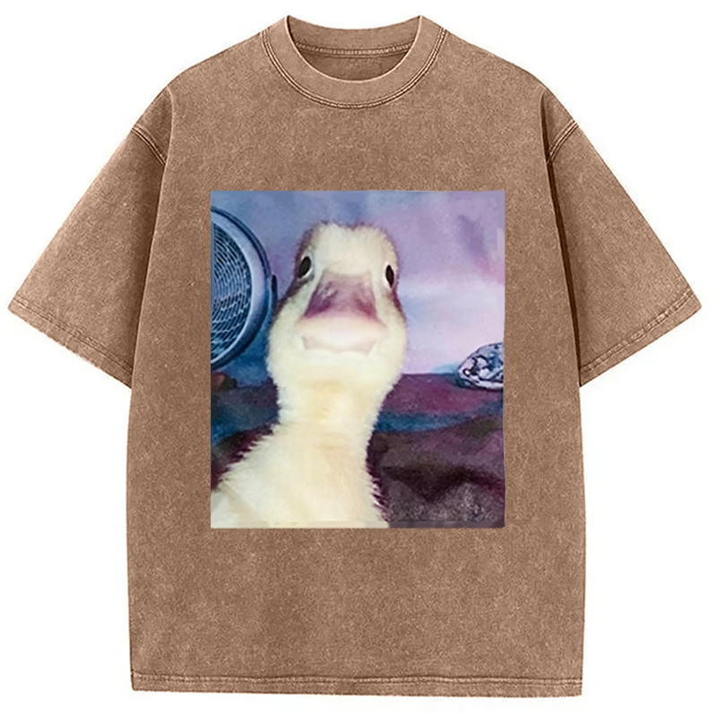 Modecanvas Duck Stare Funny Meme DTG Printing Washed T-Shirt