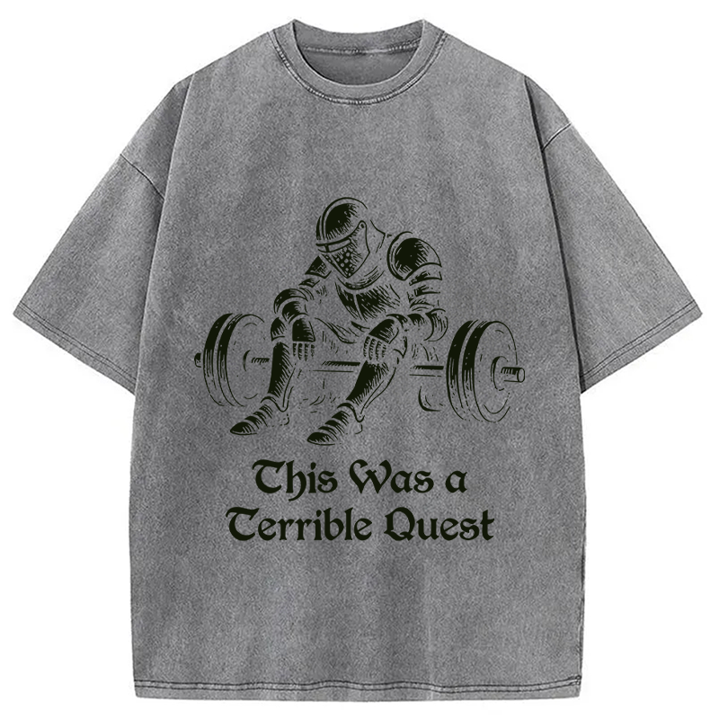 Modecanvas This Was a Terrible Quest DTG Printing Washed T-Shirt