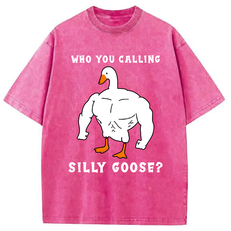 Modecanvas Who You Calling Silly Goose Funny Gym Meme Washed T-Shirt